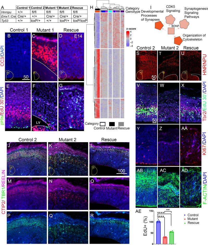 https://cdn.ncbi.nlm.nih.gov/pmc/blobs/eda0/9304408/c635c95e0f0c/41467_2022_31752_Fig5_HTML.jpg