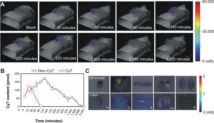 https://cdn.ncbi.nlm.nih.gov/pmc/blobs/eda3/4260688/988cc888bfb3/ijn-9-5667Fig7.jpg