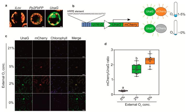https://cdn.ncbi.nlm.nih.gov/pmc/blobs/eda4/7761731/179f3c7903c7/biosensors-10-00197-g003.jpg