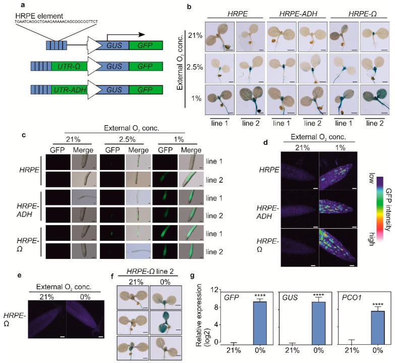 https://cdn.ncbi.nlm.nih.gov/pmc/blobs/eda4/7761731/57680f911b45/biosensors-10-00197-g002.jpg