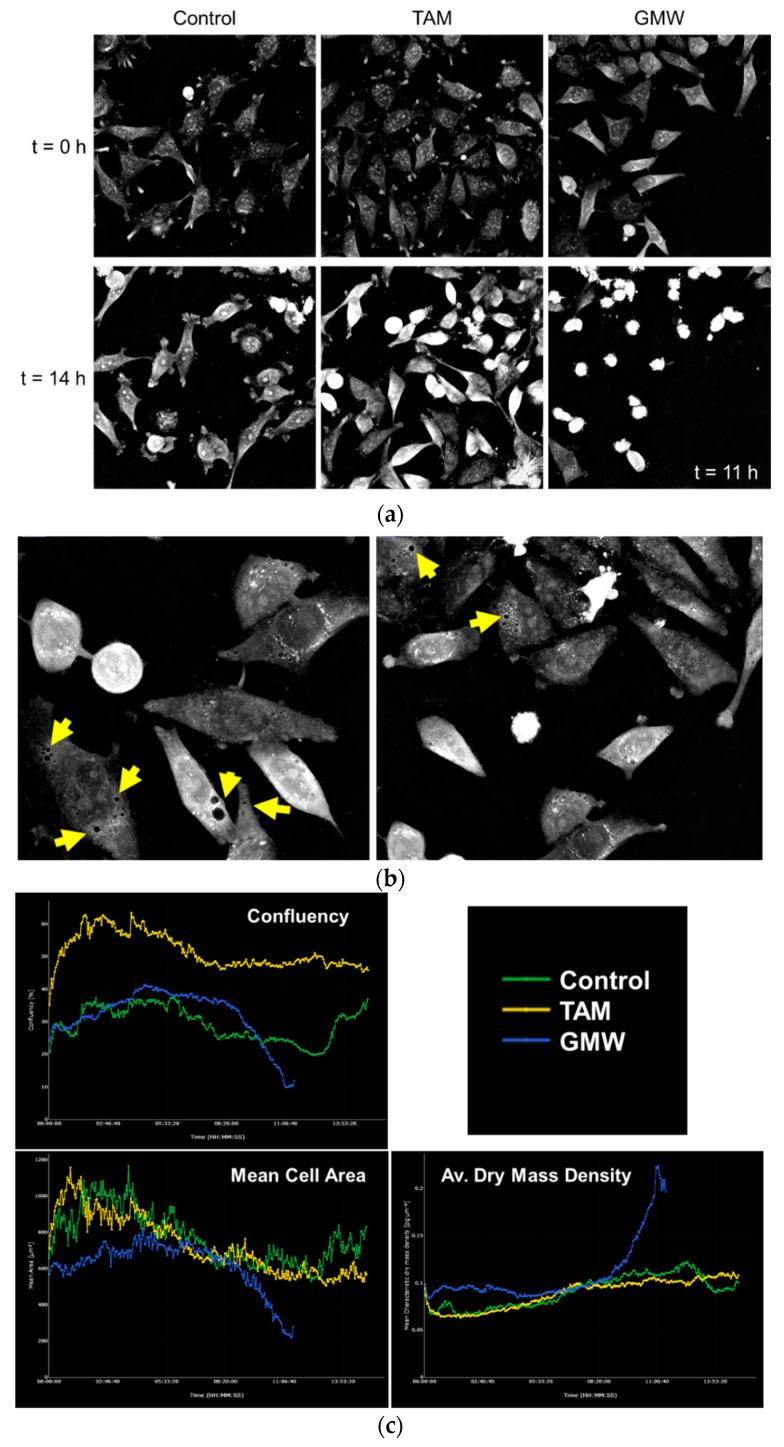 https://cdn.ncbi.nlm.nih.gov/pmc/blobs/eda4/9505652/5f856675b70c/molecules-27-06101-g007.jpg
