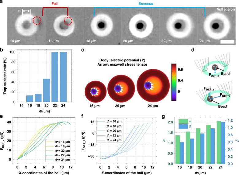 https://cdn.ncbi.nlm.nih.gov/pmc/blobs/eda6/11914063/6c0602c4c537/41378_2025_892_Fig3_HTML.jpg