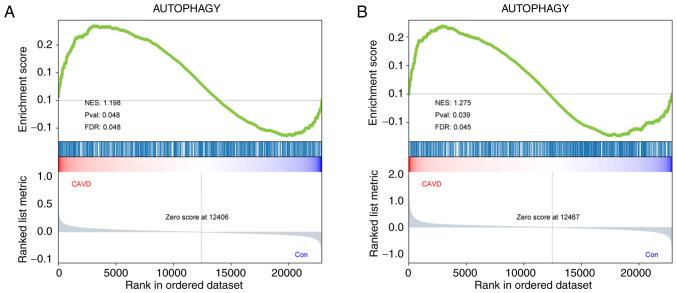https://cdn.ncbi.nlm.nih.gov/pmc/blobs/eda7/11019644/e90b8f4771b5/etm-27-05-12521-g01.jpg