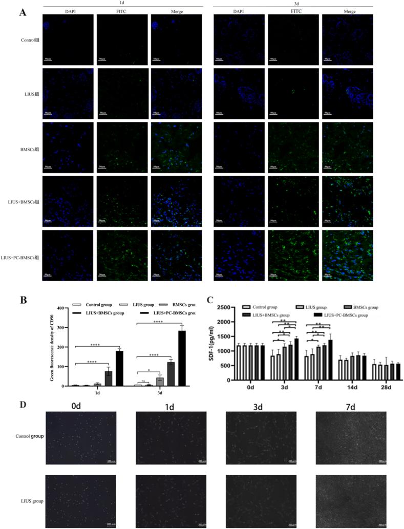 https://cdn.ncbi.nlm.nih.gov/pmc/blobs/eda8/12088760/42b8c106c584/gr5.jpg