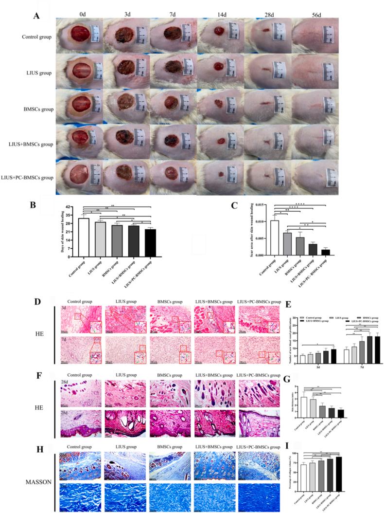 https://cdn.ncbi.nlm.nih.gov/pmc/blobs/eda8/12088760/7ecf4f118d48/gr2.jpg