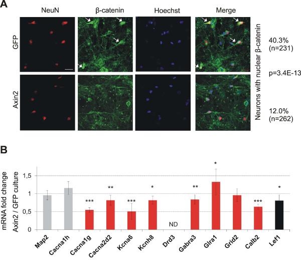 https://cdn.ncbi.nlm.nih.gov/pmc/blobs/eda8/3532193/533e5a8c4367/1471-2164-13-635-6.jpg