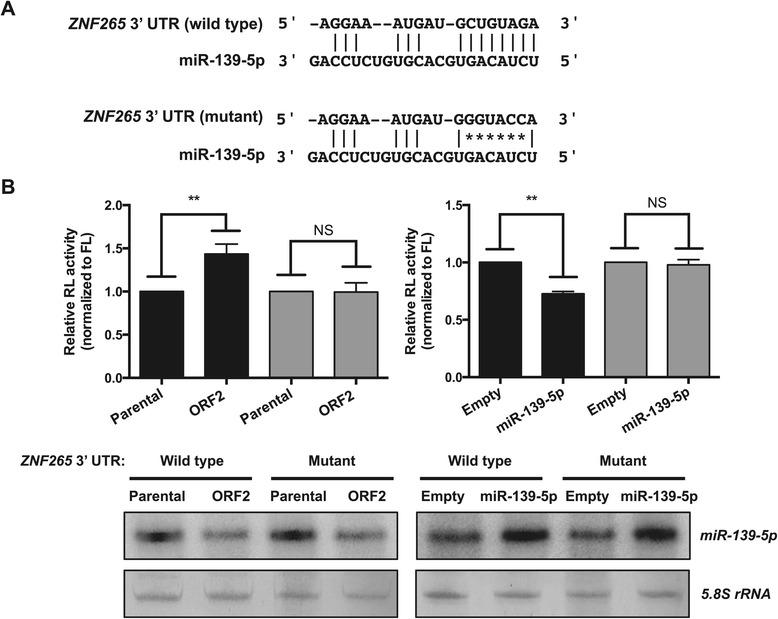 https://cdn.ncbi.nlm.nih.gov/pmc/blobs/eda8/4391141/a2fe20a40502/13567_2015_172_Fig5_HTML.jpg