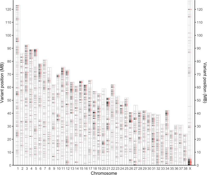 https://cdn.ncbi.nlm.nih.gov/pmc/blobs/eda9/10240690/f5b149d8f483/12864_2023_9390_Fig2_HTML.jpg