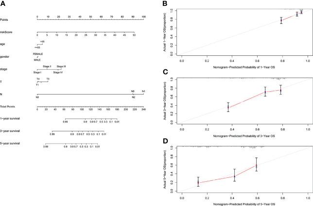https://cdn.ncbi.nlm.nih.gov/pmc/blobs/eda9/8965709/48d77c0a33ce/fonc-12-780631-g008.jpg