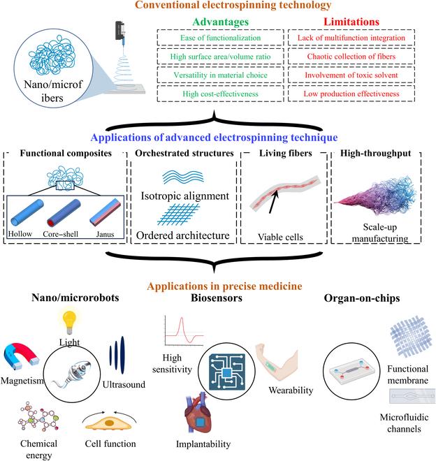 https://cdn.ncbi.nlm.nih.gov/pmc/blobs/edad/11109596/107058a1c90f/cbsystems.0101.fig.001.jpg