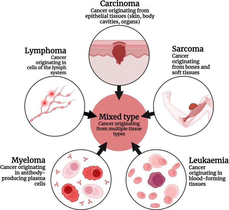 https://cdn.ncbi.nlm.nih.gov/pmc/blobs/edae/12144612/a88146ebee97/OncolRes-33-55945-f001.jpg