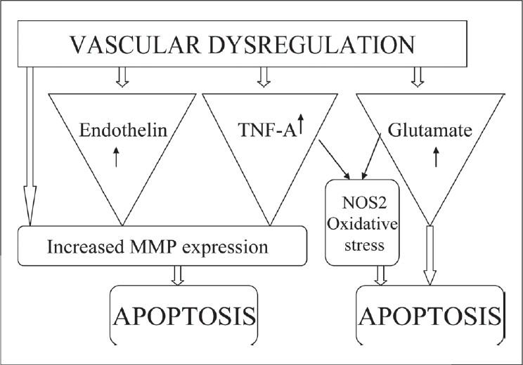 https://cdn.ncbi.nlm.nih.gov/pmc/blobs/edae/2712693/27c34d372257/IJO-57-257-g002.jpg