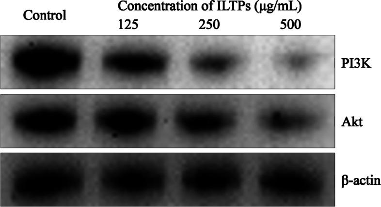 https://cdn.ncbi.nlm.nih.gov/pmc/blobs/edae/8943935/6fea7ea42236/12906_2022_3568_Fig6_HTML.jpg