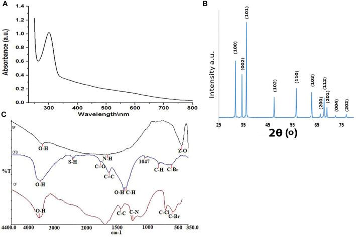 https://cdn.ncbi.nlm.nih.gov/pmc/blobs/edb2/8635236/82479a8134a1/fcimb-11-748739-g001.jpg