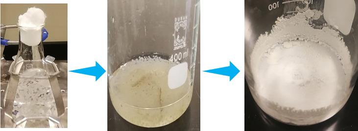 https://cdn.ncbi.nlm.nih.gov/pmc/blobs/edb2/8635236/a79035e179ef/fcimb-11-748739-g009.jpg