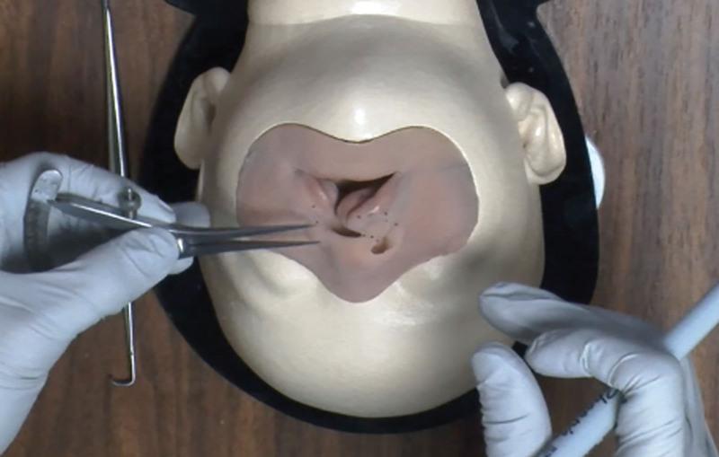 https://cdn.ncbi.nlm.nih.gov/pmc/blobs/edb4/10703114/778d208240cf/gox-11-e5428-g001.jpg