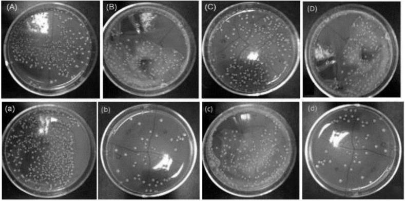 https://cdn.ncbi.nlm.nih.gov/pmc/blobs/edb5/7550927/e2e5b913e85b/gr7.jpg
