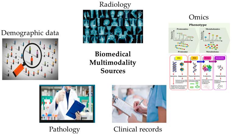 https://cdn.ncbi.nlm.nih.gov/pmc/blobs/edb6/11672922/2dbcd3360125/bioengineering-11-01233-g002.jpg