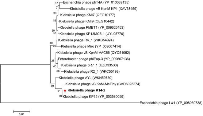 https://cdn.ncbi.nlm.nih.gov/pmc/blobs/edb8/11782208/6f3c27ea6fd5/fmicb-15-1491516-g006.jpg
