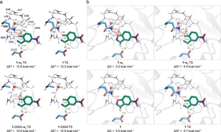 https://cdn.ncbi.nlm.nih.gov/pmc/blobs/edbb/11581979/20cc4a87e7cb/41589_2024_1712_Fig9_ESM.jpg