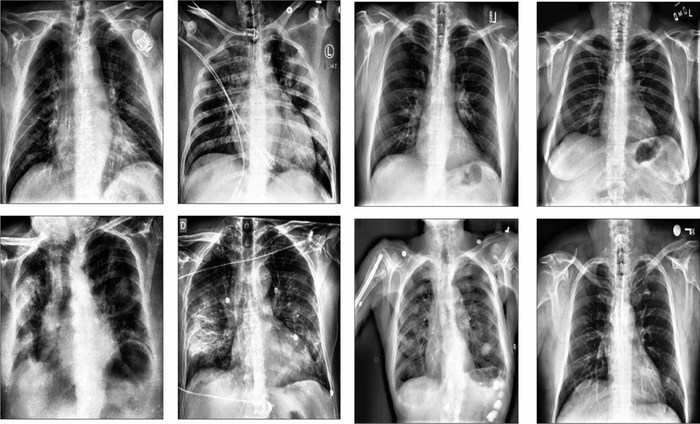 https://cdn.ncbi.nlm.nih.gov/pmc/blobs/edbf/10792799/296ea34c9d5d/12859_2023_5427_Fig5_HTML.jpg