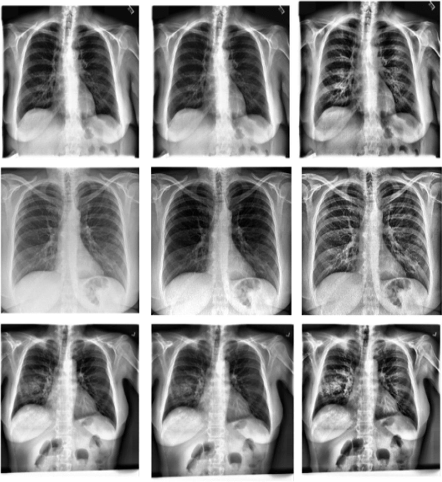 https://cdn.ncbi.nlm.nih.gov/pmc/blobs/edbf/10792799/c0a4817e8fb6/12859_2023_5427_Fig2_HTML.jpg
