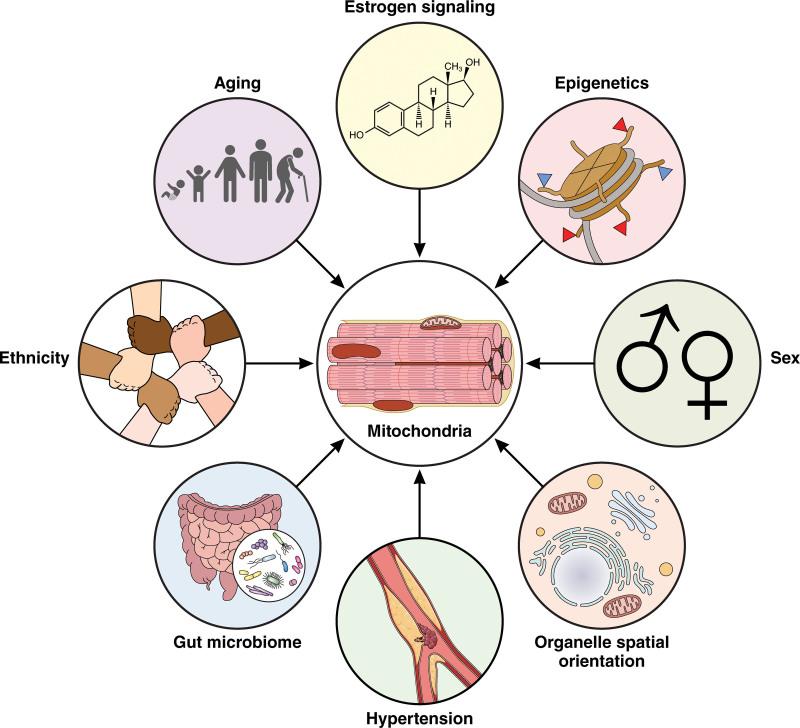 https://cdn.ncbi.nlm.nih.gov/pmc/blobs/edbf/11227307/64c8a3355aad/res-135-372-g004.jpg