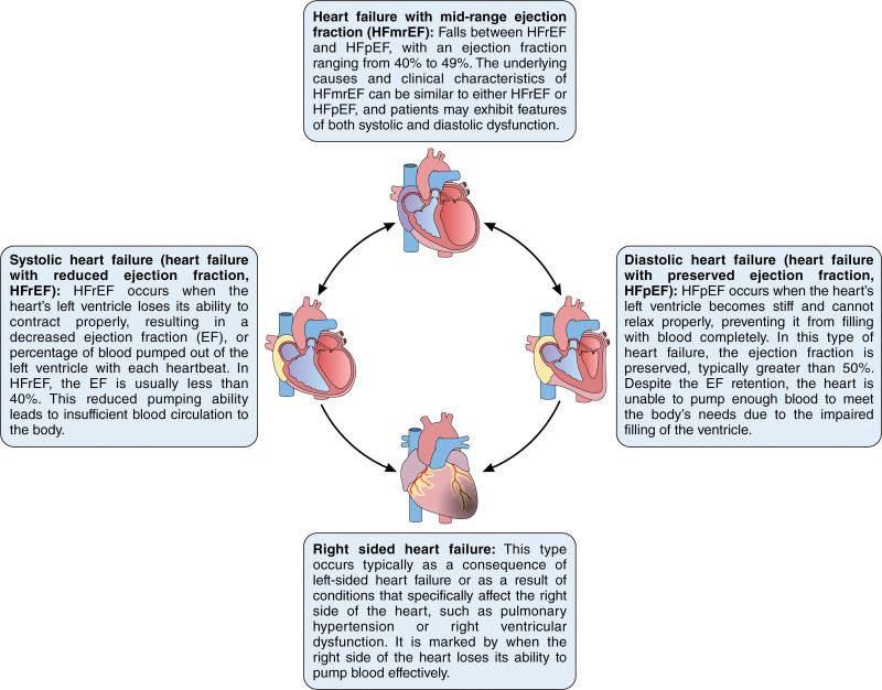 https://cdn.ncbi.nlm.nih.gov/pmc/blobs/edbf/11227307/e17a89135128/res-135-372-g001.jpg
