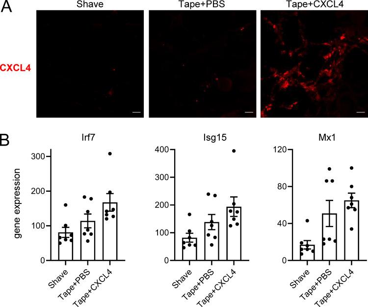 https://cdn.ncbi.nlm.nih.gov/pmc/blobs/edbf/9161158/66cb4211233e/JEM_20212142_FigS5.jpg