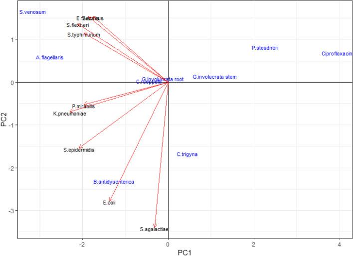 https://cdn.ncbi.nlm.nih.gov/pmc/blobs/edc0/11110246/e6623e96215a/12906_2024_4499_Fig1_HTML.jpg