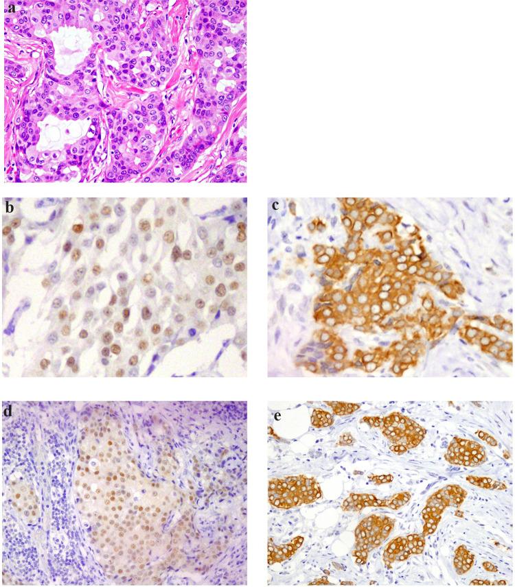 https://cdn.ncbi.nlm.nih.gov/pmc/blobs/edc0/11754918/4add871e7e7a/41598_2025_87403_Fig4_HTML.jpg