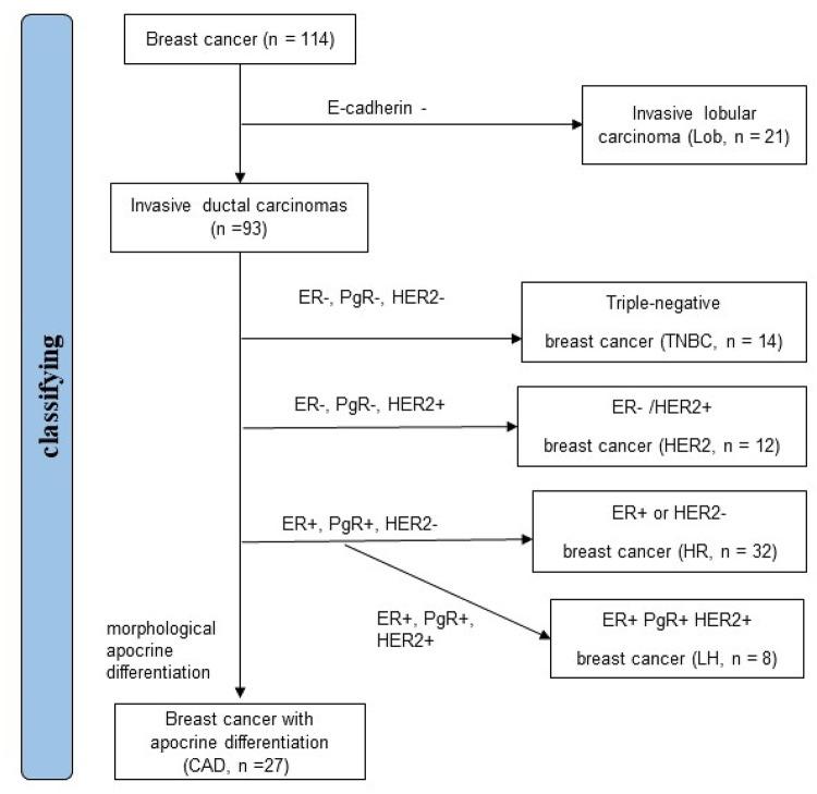 https://cdn.ncbi.nlm.nih.gov/pmc/blobs/edc0/11754918/a74ce65a1ee0/41598_2025_87403_Fig3_HTML.jpg