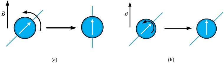 https://cdn.ncbi.nlm.nih.gov/pmc/blobs/edc2/11117552/384d4c03aba9/biomolecules-14-00521-g005.jpg