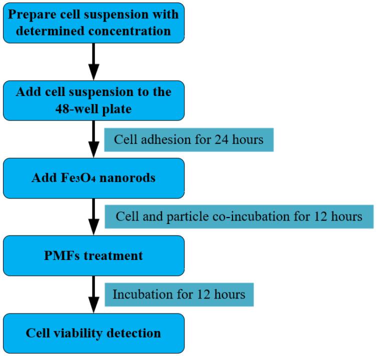 https://cdn.ncbi.nlm.nih.gov/pmc/blobs/edc2/11117552/8cb0179eb21b/biomolecules-14-00521-g010.jpg