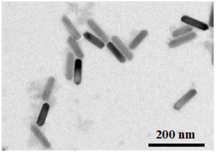 https://cdn.ncbi.nlm.nih.gov/pmc/blobs/edc2/11117552/ec565ba442db/biomolecules-14-00521-g007.jpg
