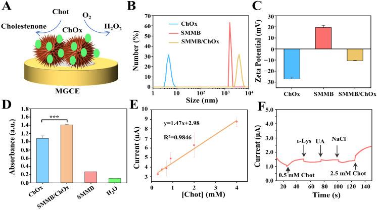 https://cdn.ncbi.nlm.nih.gov/pmc/blobs/edc2/12025299/bcb84190c046/biosensors-15-00225-g005.jpg