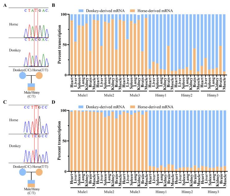 https://cdn.ncbi.nlm.nih.gov/pmc/blobs/edc2/12189881/f94cb743278b/biology-14-00678-g002.jpg