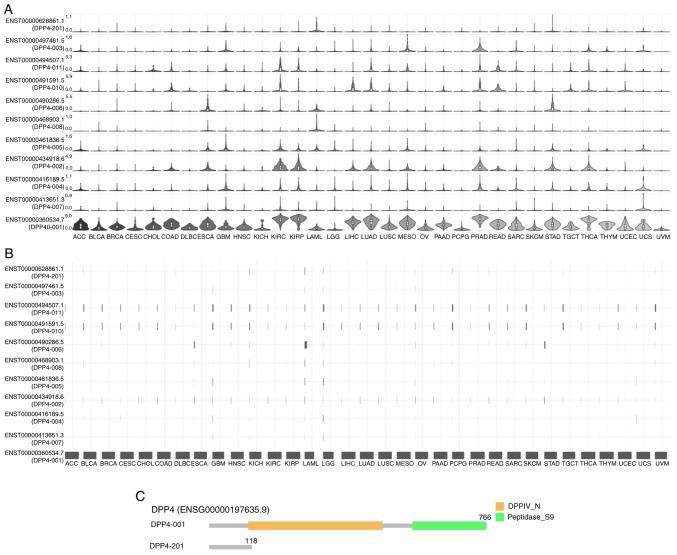 https://cdn.ncbi.nlm.nih.gov/pmc/blobs/edc2/9946808/e70de05c54ed/IJO-62-3-05489-g04.jpg