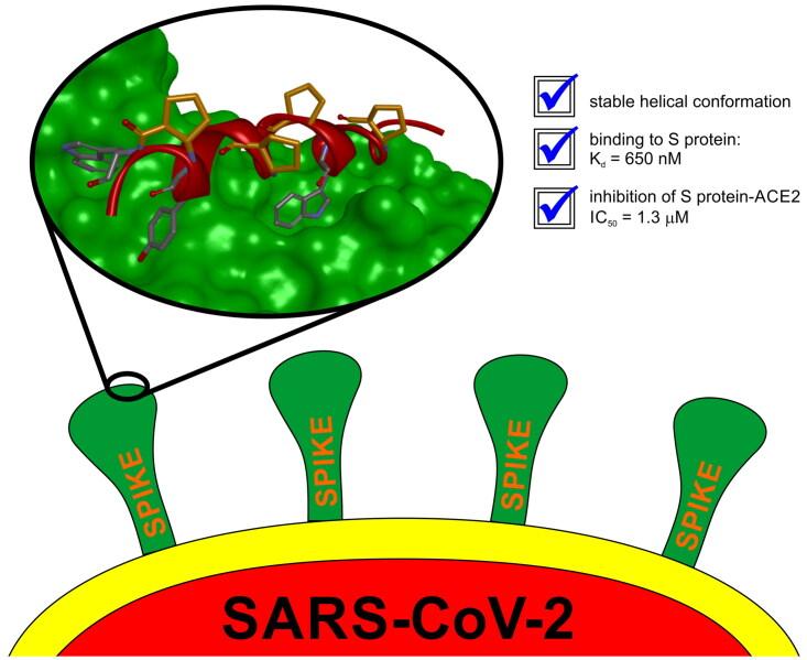 https://cdn.ncbi.nlm.nih.gov/pmc/blobs/edc4/10446788/2332ac571c77/IENZ_A_2244693_UF0001_C.jpg