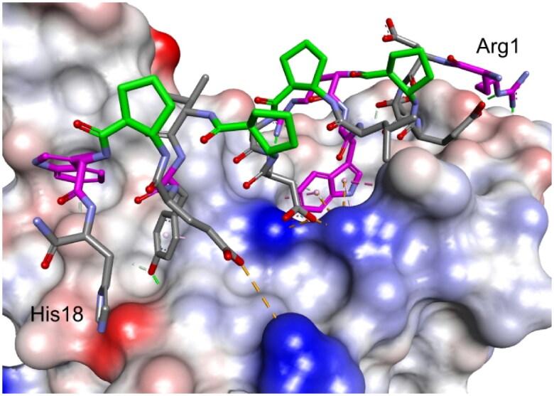 https://cdn.ncbi.nlm.nih.gov/pmc/blobs/edc4/10446788/d9ec76dae858/IENZ_A_2244693_F0008_C.jpg