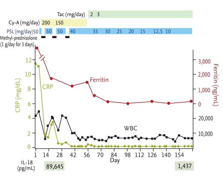 https://cdn.ncbi.nlm.nih.gov/pmc/blobs/edc5/3957001/0e86d13d57ce/kjim-29-259-g001.jpg
