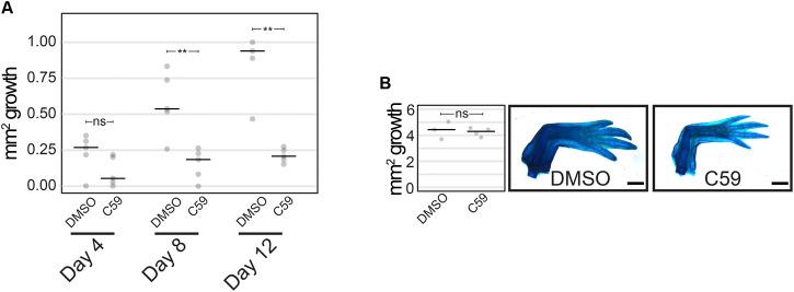 https://cdn.ncbi.nlm.nih.gov/pmc/blobs/edc5/9068880/be3ce5292714/fcell-10-814250-g006.jpg