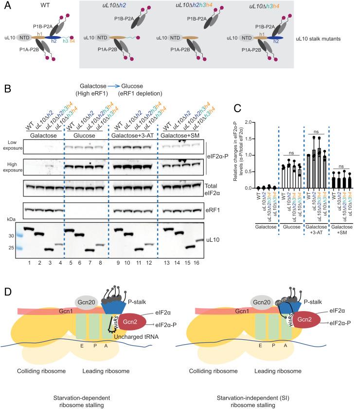 https://cdn.ncbi.nlm.nih.gov/pmc/blobs/edc7/10120022/8f75c2363014/pnas.2300521120fig06.jpg