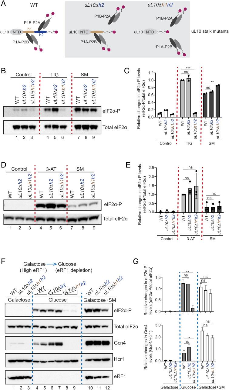 https://cdn.ncbi.nlm.nih.gov/pmc/blobs/edc7/10120022/9783f4245d6c/pnas.2300521120fig05.jpg