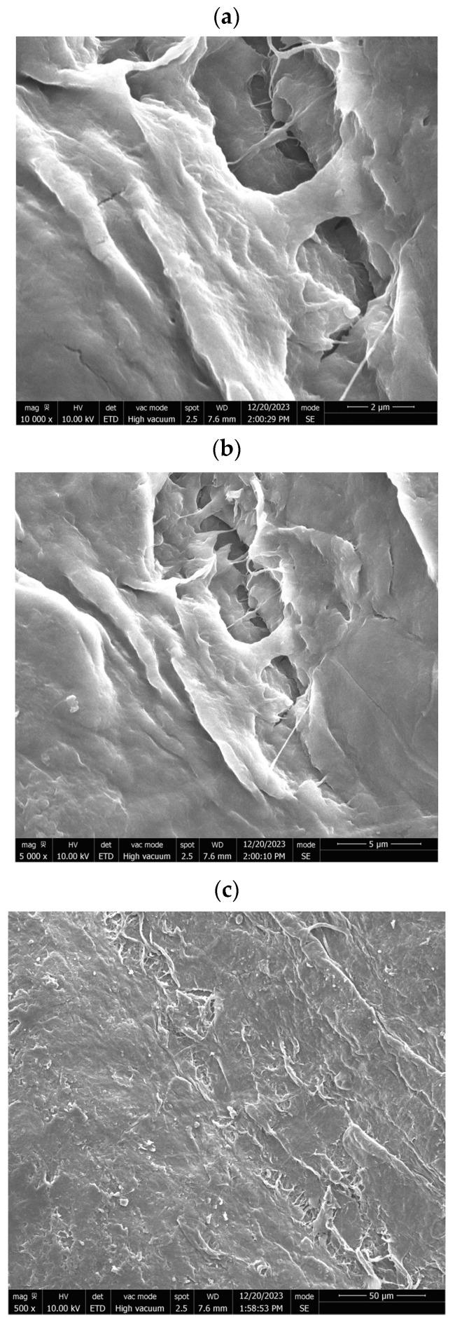https://cdn.ncbi.nlm.nih.gov/pmc/blobs/edc7/12029604/f6462a02fe47/micromachines-16-00393-g001.jpg