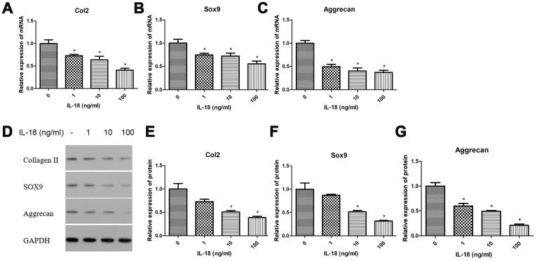 https://cdn.ncbi.nlm.nih.gov/pmc/blobs/edc7/7138594/d289829da83c/aging-12-102937-g001.jpg