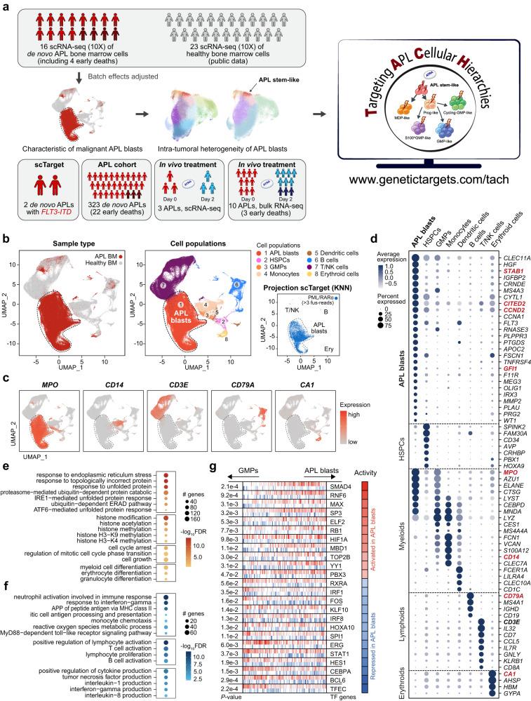 https://cdn.ncbi.nlm.nih.gov/pmc/blobs/edc8/10873341/7b3c217a051a/41467_2024_45737_Fig1_HTML.jpg