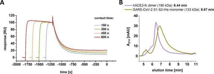 https://cdn.ncbi.nlm.nih.gov/pmc/blobs/edc9/9278102/d9954ae2d93a/jvi.00685-22-f003.jpg
