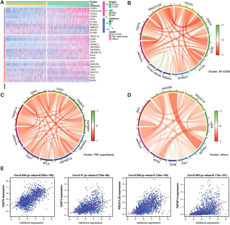 https://cdn.ncbi.nlm.nih.gov/pmc/blobs/edcb/12319057/6ae7bf368dd8/fonc-15-1517557-g005.jpg