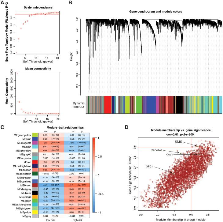 https://cdn.ncbi.nlm.nih.gov/pmc/blobs/edcb/12319057/d1a4cd106ee3/fonc-15-1517557-g007.jpg